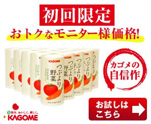 初回限定おトクなモニター様価格！