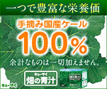 一つで豊富な栄養価　手摘み国産ケール100%