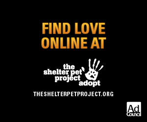 FIND LOVE ONLINE　AT　the shelter pet project