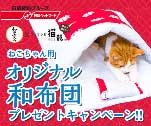 ねこちゃん用オリジナル和布団プレゼントキャンペーン!!