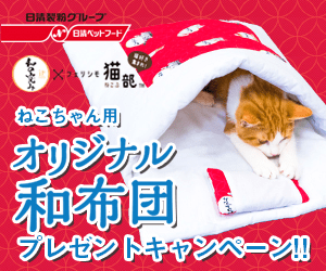 ねこちゃん用オリジナル和布団プレゼントキャンペーン!!