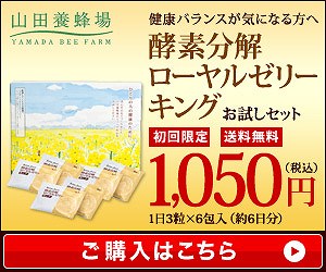 健康バランスが気になる方へ　酵素分解ローヤルゼリーキング　お試しセット1,050円