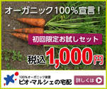 オーガニック100％宣言！　初回限定お試しセット税込1,000円