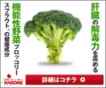 肝臓の解毒力を高める機能性野菜ブロッコリースプラウト。の健康成分　スルフォラファン