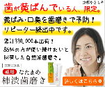 歯が黄ばんでいる人、限定。黄ばみ・口臭を歯磨きで予防！リピーター続出中です。　薬用なたまめ柿渋歯磨き