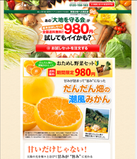 あの「大地を守る会」が基本お試しセット全国送料無料！！980円試してイイかも？　お試し野菜セット