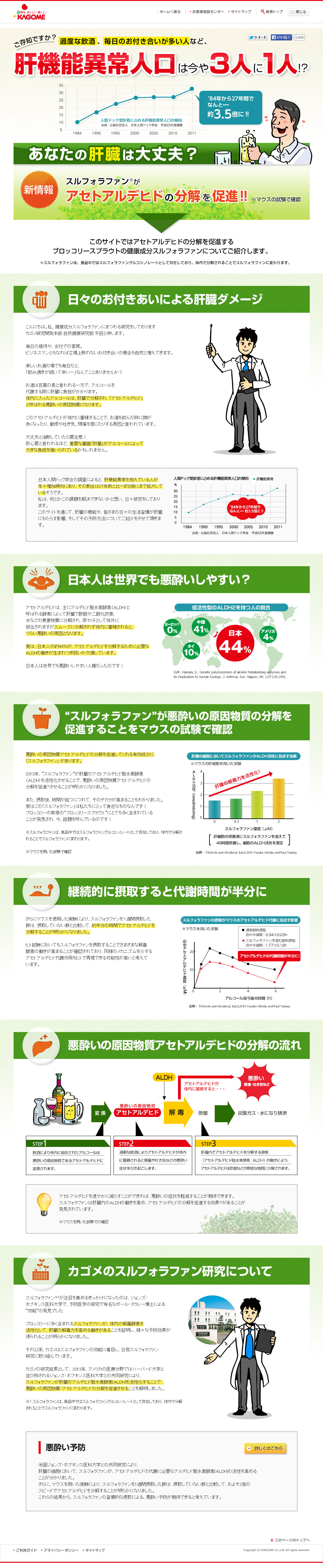 肝機能異常人口は今や3人に1人!?｜スルフォラファン